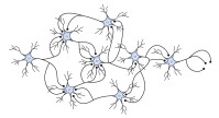 Neuronennetzwerk
